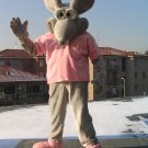 Mouse fur costume