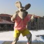 Mouse fur costume