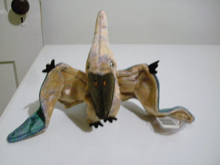 TY 2000 Beanie Baby - "Swoop" - February 24, 2000