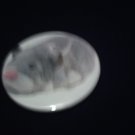 Num Nums Zhu Zhu Pet