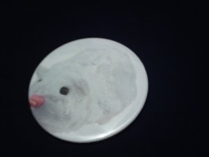 Chunk Zhu Zhu Pet