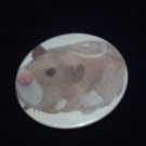 Mr.Squiggles Zhu Zhu Pet