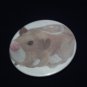 Mr.Squiggles Zhu Zhu Pet