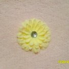 Flower 8