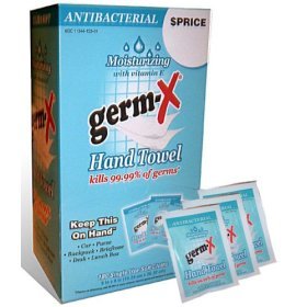 Germ-X Antiseptic Hand Sanitizer, 100 Individual Wipes