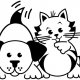 Pet Supplies