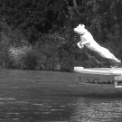 Leap