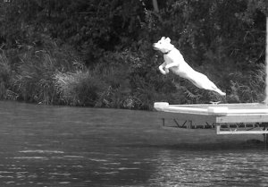 Leap
