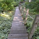 Path to happiness II
