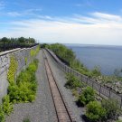 Superior Tracks II