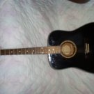 Washburn Acoustic
