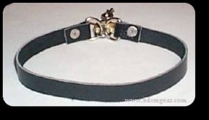 Thin Ringless Leather Collar