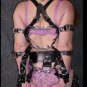 Arm Binding Straps