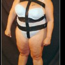 Suspension  Harness