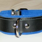 3 Ring Blue Suede Lined Leather Collar - Roller Buckle