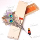 Double Natural Peacock Quill Ink Pen Box Set (+ "FREE GIFT")