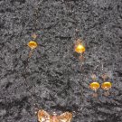 Amber and Butterflies
