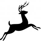 Stars Vinyl Decal Car Sticker - animal