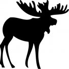 Stars Vinyl Decal Car Sticker - animal