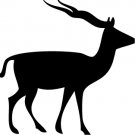 Vinyl Decal Car Sticker - animal