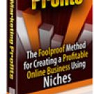 Niche Marketing Profits - ebook