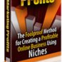 Niche Marketing Profits - ebook