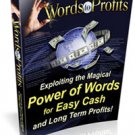 Words to Profit - ebook