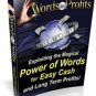 Words to Profit - ebook
