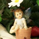 Kitchen Fairy on Daisy Pot
