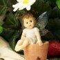 Kitchen Fairy on Daisy Pot