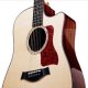 Fretted Instruments