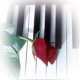 Keyboard Instruments