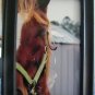 Horse Head