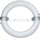 Ring Type induction lamp(40W)