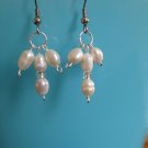 Freshwater Pearl Earrings