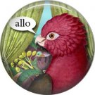 Allo, Talking Birds 1 Inch Button Badge Pin Back - 4000