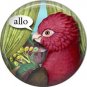 Allo, Talking Birds 1 Inch Button Badge Pin Back - 4000