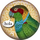 Hola, Talking Birds 1 Inch Button Badge Pin Back - 4001