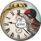 G'day, Talking Birds 1 Inch Pinback Button Badge Pin - 4010
