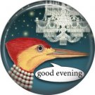 Good Evening, Talking Birds 1 Inch Pinback Button Badge Pin - 4014