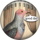 Talking Birds 1 Inch Pinback Button Badge Pin - 4016