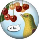 Talking Birds 1 Inch Pinback Button Badge Pin - 4018