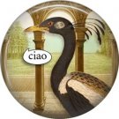 Talking Birds 1 Inch Pinback Button Badge Pin - 4020