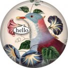 Talking Birds 1 Inch Pinback Button Badge Pin - 4023