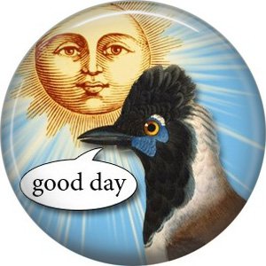 Talking Birds 1 Inch Pinback Button Badge Pin - 4029