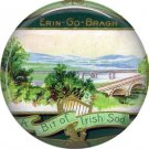 A Bit of Irish Sod, 1 Inch Ephemera Lapel Pin, St. Patricks Day Button Badge  - 0438