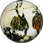 Vintage Hawaii Image on 1 Inch Pinback Button Badge Pin - -0955