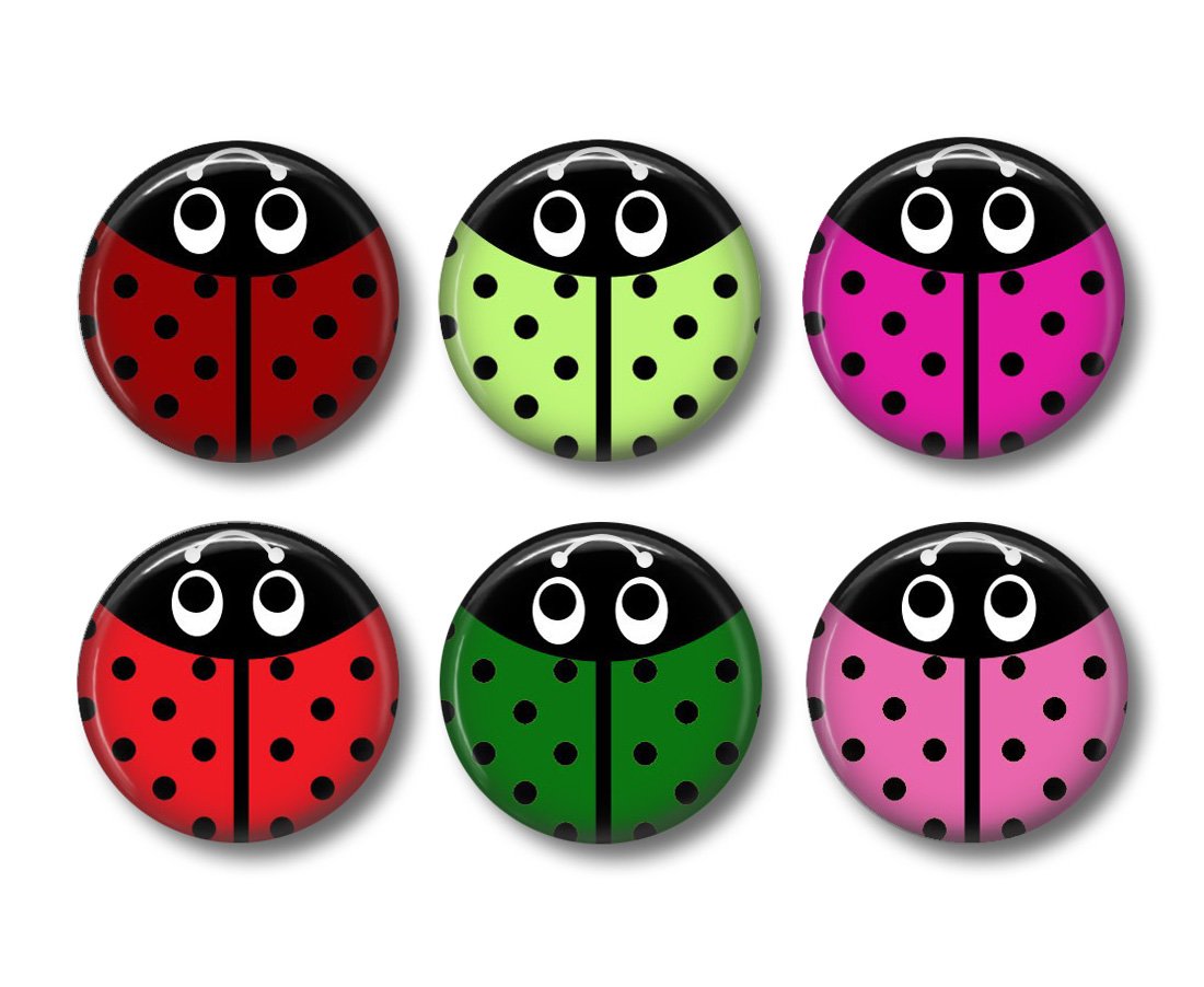 Set of 15 Ladybugs on 1 Inch Pinback Button Badge Pins Set 1