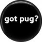 Got Pug?, Dog is Love 1 Inch Pinback Button Badge Pin - 6124