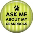 Ask Me About My Granddogs, Dog is Love 1 Inch Pinback Button Badge Pin - 6128